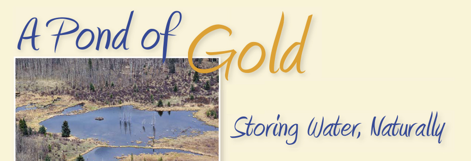 ponds of gold